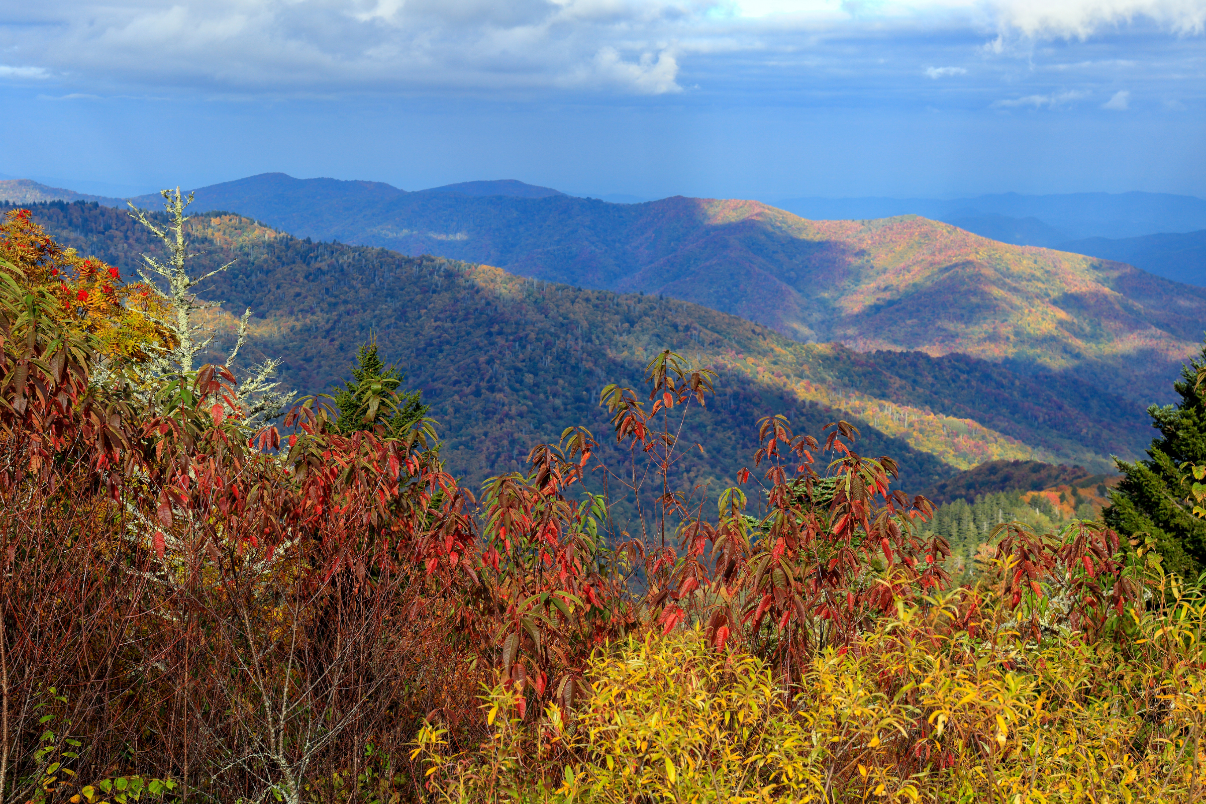great smoky mountains national park, tennessee (4).webp